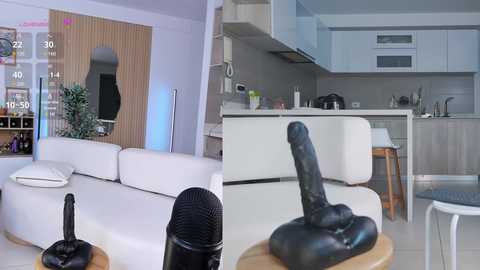 nemisha free recording from 2025-06-21 16:20:00