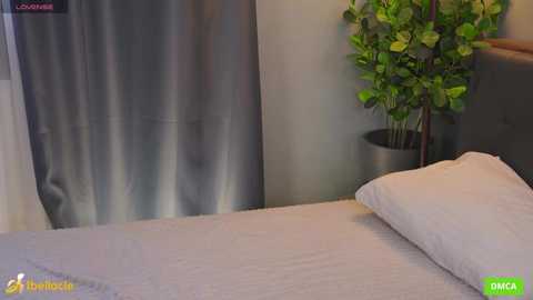 bellacle free recording from 2025-06-22 11:39:00