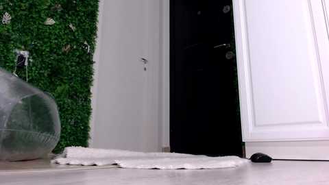 elisabeth_jason free recording from 2025-06-22 02:08:00