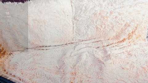 just_sayori free recording from 2025-06-22 02:51:00