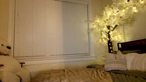 alicelighthouse free recording from 2025-06-23 02:14:00