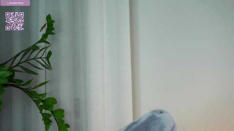 oxonmymind free recording from 