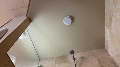 rocknrose free recording from 