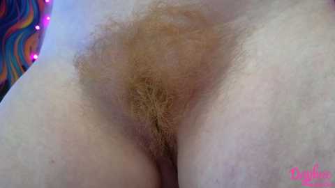 daphnemadison free recording from 2025-06-24 21:23:00