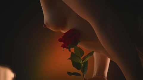 rocknrose free recording from 