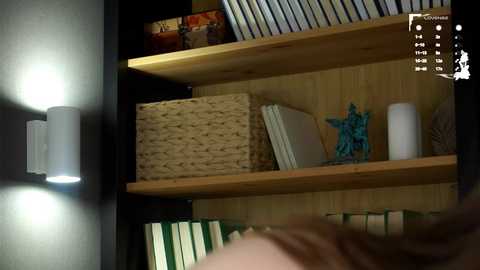 aislyfarran free recording from 2025-06-25 09:55:00