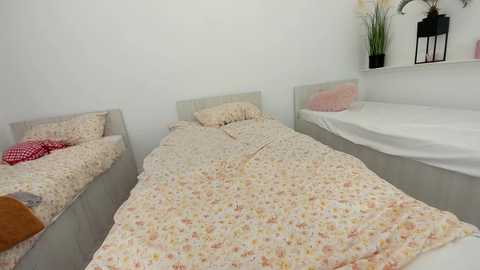 ehotlovea free recording from 