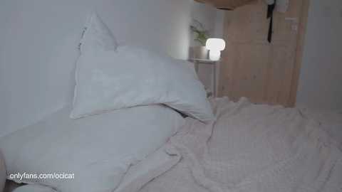 ocicat free recording from 2025-06-25 07:22:00