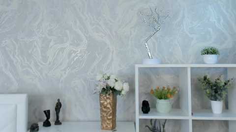 _vi_vi_ free recording from 