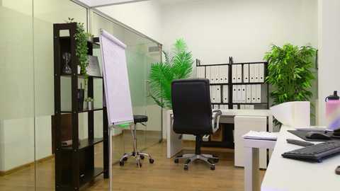 babesgowild free recording from 2025-06-26 10:20:00