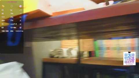 yunogasei free recording from 2025-06-26 18:48:00