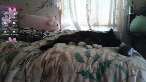 aliceriverscam free recording from 2025-06-27 22:19:00