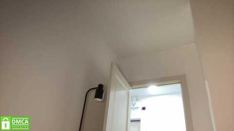 angel_from_sky free recording from 2025-06-27 14:21:00