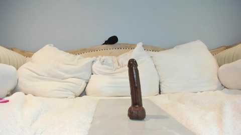 eatmygingersnapps free recording from 2025-06-27 16:22:00