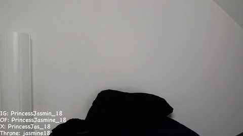 princessjasmine_18 free recording from 2025-06-27 14:04:00