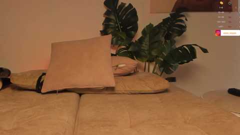 anaonasis free recording from 2025-06-28 18:28:00