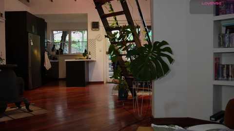 bellebabyboo free recording from 2025-06-29 08:15:00