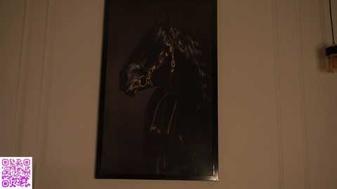 kusssecka free recording from 2025-06-29 22:23:00