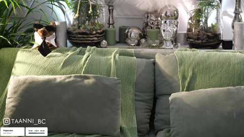 taanni_bc free recording from 2025-06-29 03:03:00