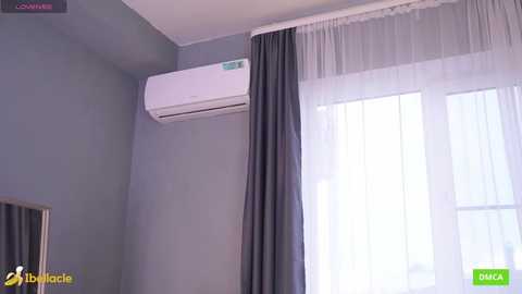 bellacle free recording from 2025-06-30 11:28:00