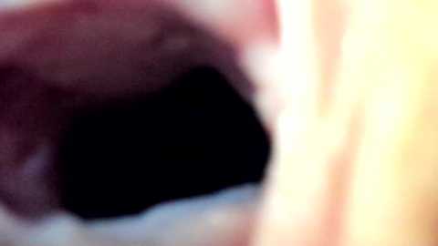 courtney_luv free recording from 2025-06-30 15:56:00