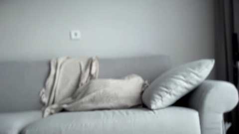 solar_bella free recording from 2025-06-30 11:06:00