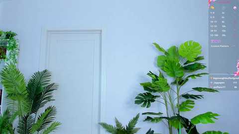 sweet__piece free recording from 2025-06-30 13:52:00