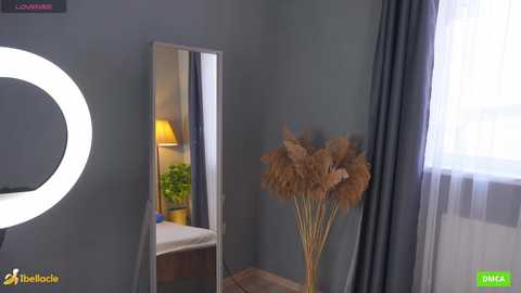 bellacle free recording from 