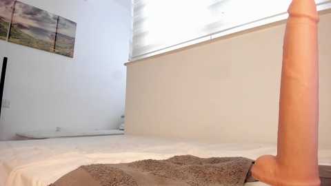 itsbellax free recording from 2025-07-01 14:01:00