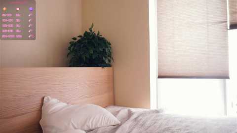 rowenahallman free recording from 