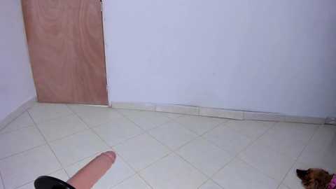 sabrina_geek free recording from 2025-07-01 03:14:00