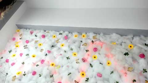 babyaylin free recording from 