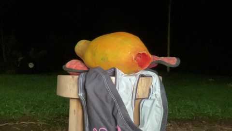 kaileeshy free recording from 