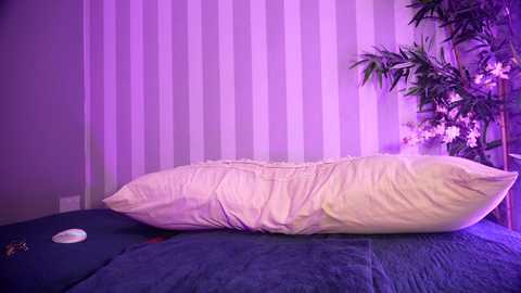 littlee33 free recording from 