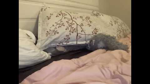 stassiethatsororitygirl free recording from 2025-07-02 13:18:00