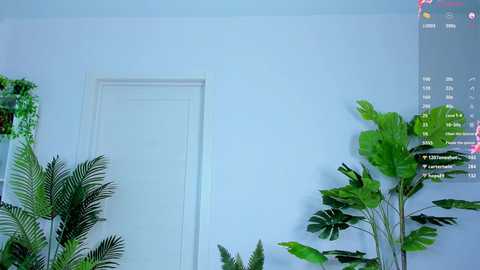 sweet__piece free recording from 2025-07-02 14:17:00