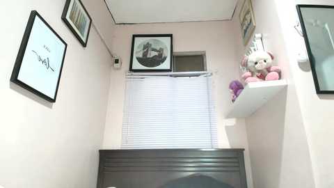 xdreamangel free recording from 