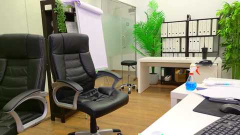 babesgowild free recording from 2025-07-03 07:38:00