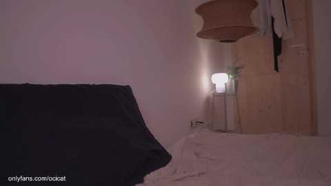 ocicat free recording from 2025-07-03 04:57:00