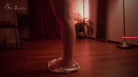 excitease free recording from 2025-07-04 20:56:00