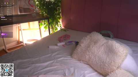 islandladies free recording from 