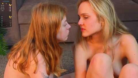 maydacroswell free recording from 