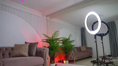 abbela_white free recording from 2025-07-05 10:51:00