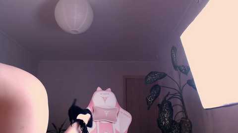 effsweet free recording from 2025-07-05 21:26:00