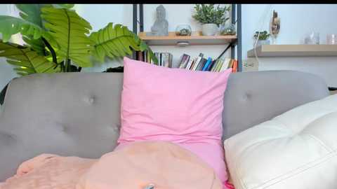 goofyshygirl1 free recording from 