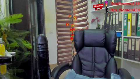 lisa2018 free recording from 