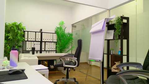 babesgowild free recording from 2025-07-07 08:01:00