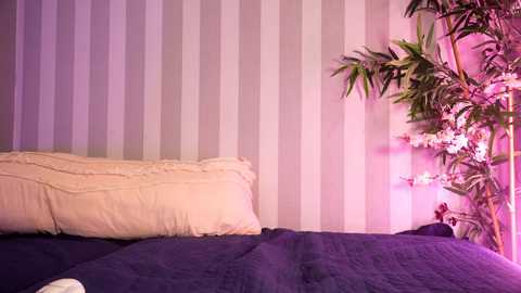 littlee33 free recording from 