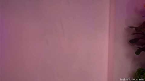 shiningstarrr free recording from 2025-07-07 04:59:00