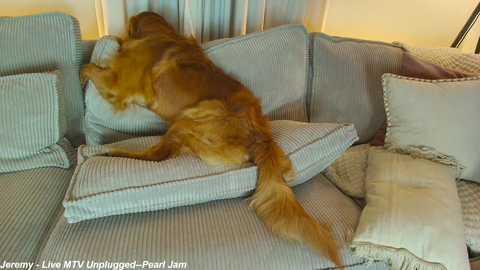 x_lily_x free recording from 2025-07-07 02:25:00